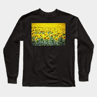 Sunflowers field Long Sleeve T-Shirt